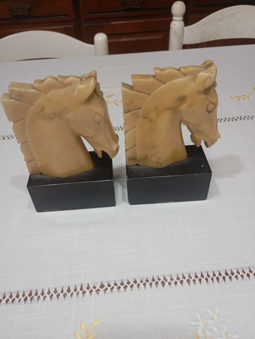 Vendo pare de cavalo muito bonito bom estado
