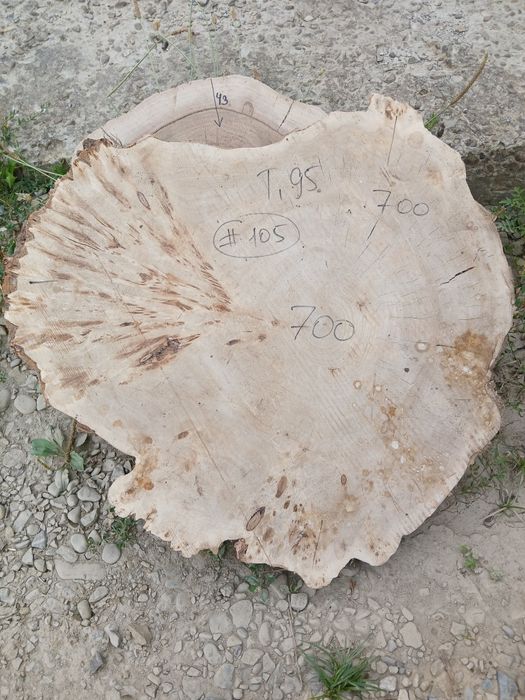 Торцеві спили слеби тополя клен горіх