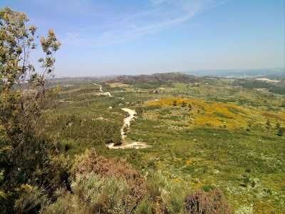 Venda de terreno rustico