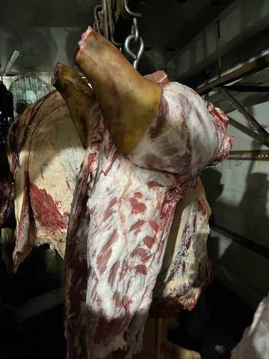 Мʼясо Светна Телятина Сало Домашнє