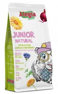 NATURAL JUNIOR Karma dla Młodych Kawii Domowych 650g