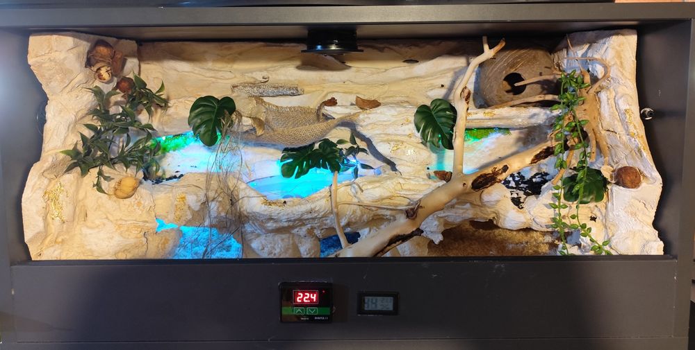 Gotowe terrarium dla węża w pełni wyposażone