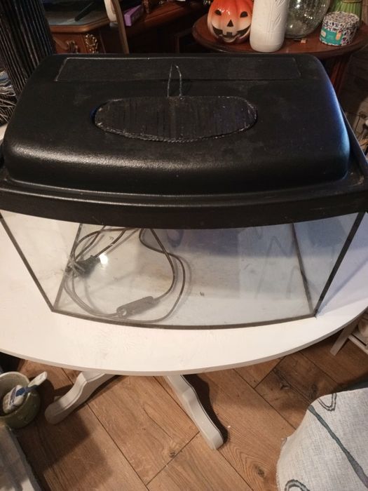 Akwarium panoramiczne