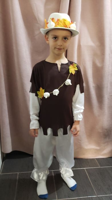 Костюм часник, картопля, баклажан, огірок, виноград, помідор