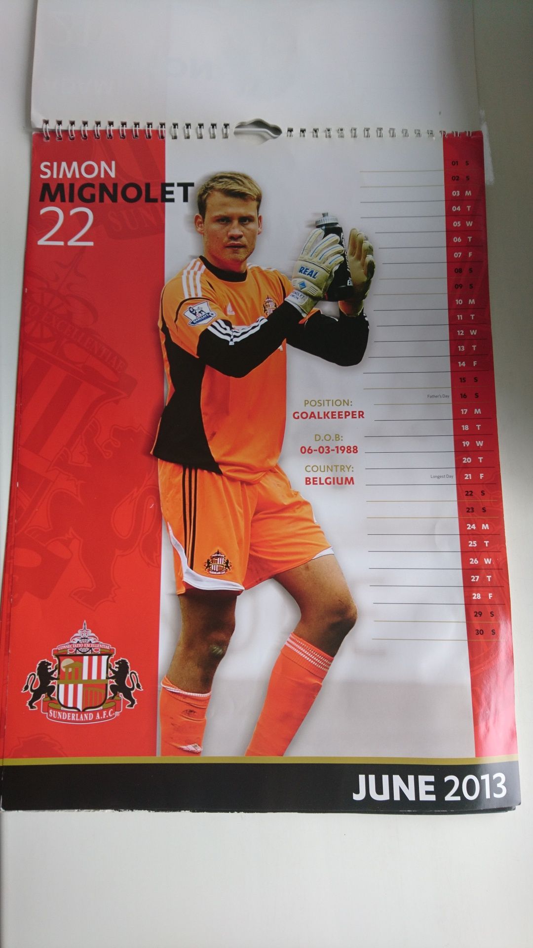 Календарь настенный Sunderland AFC 2013 год 29,5*43см