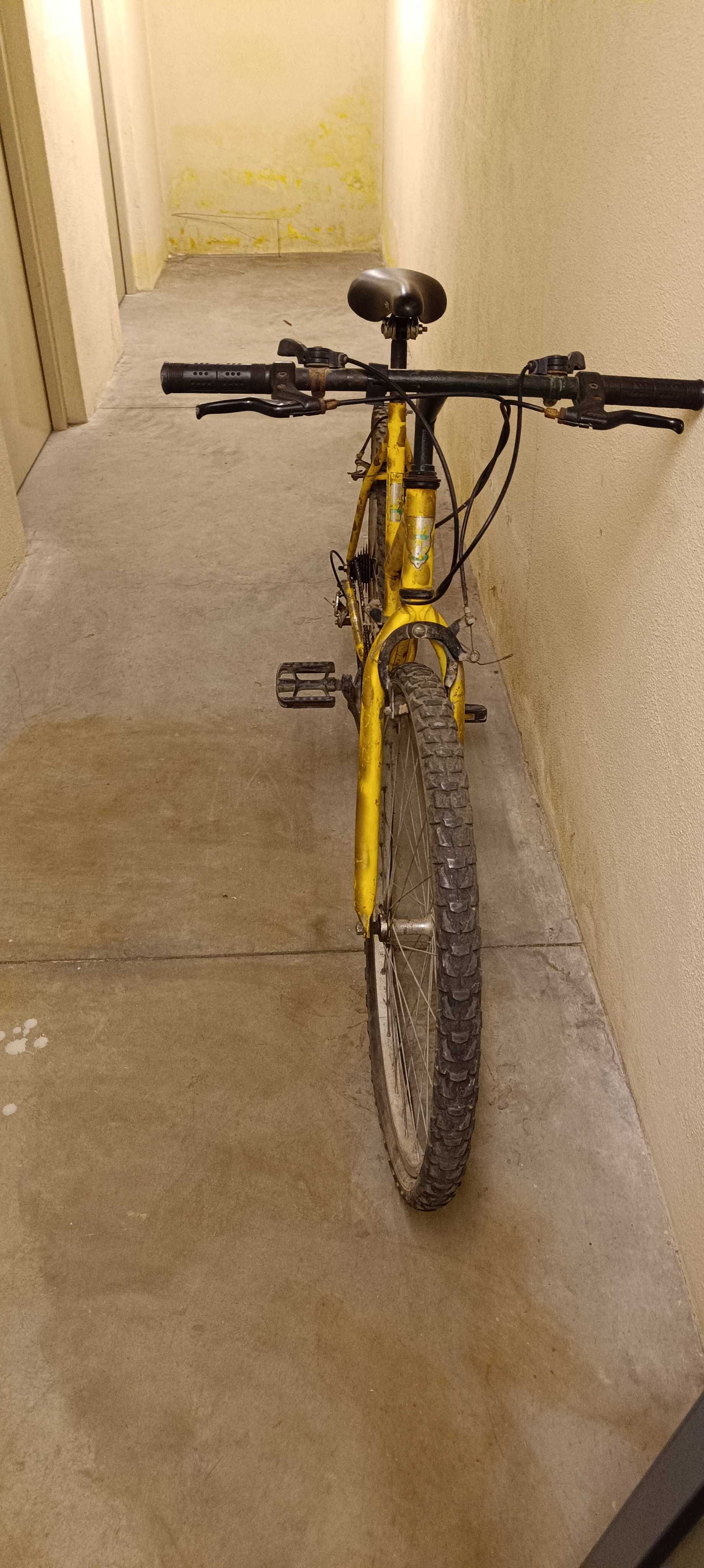Bicicletas antigas com pouco uso