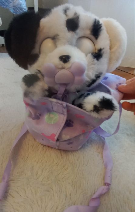 Baby paws dalmata