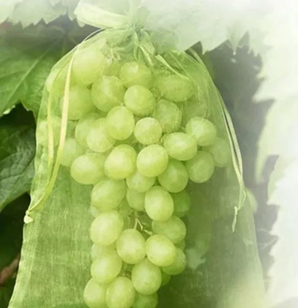 Sacos para proteger fruta