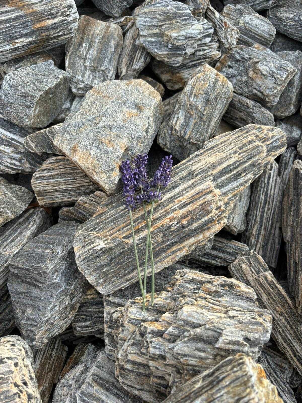 Grys, żwir, kamień ogrodowy, kora kamienna, gabion, głazy