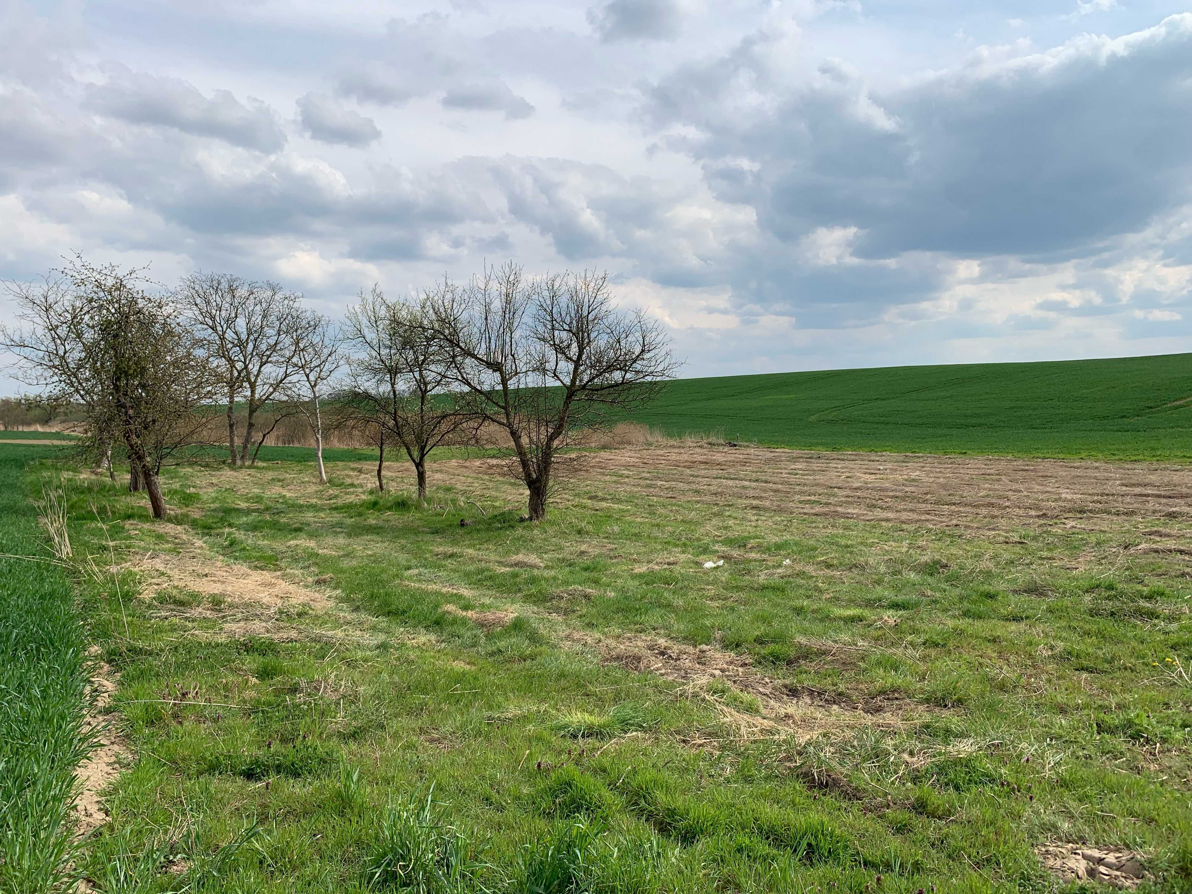 Działka budowlana 1200m  w Międzychodzie