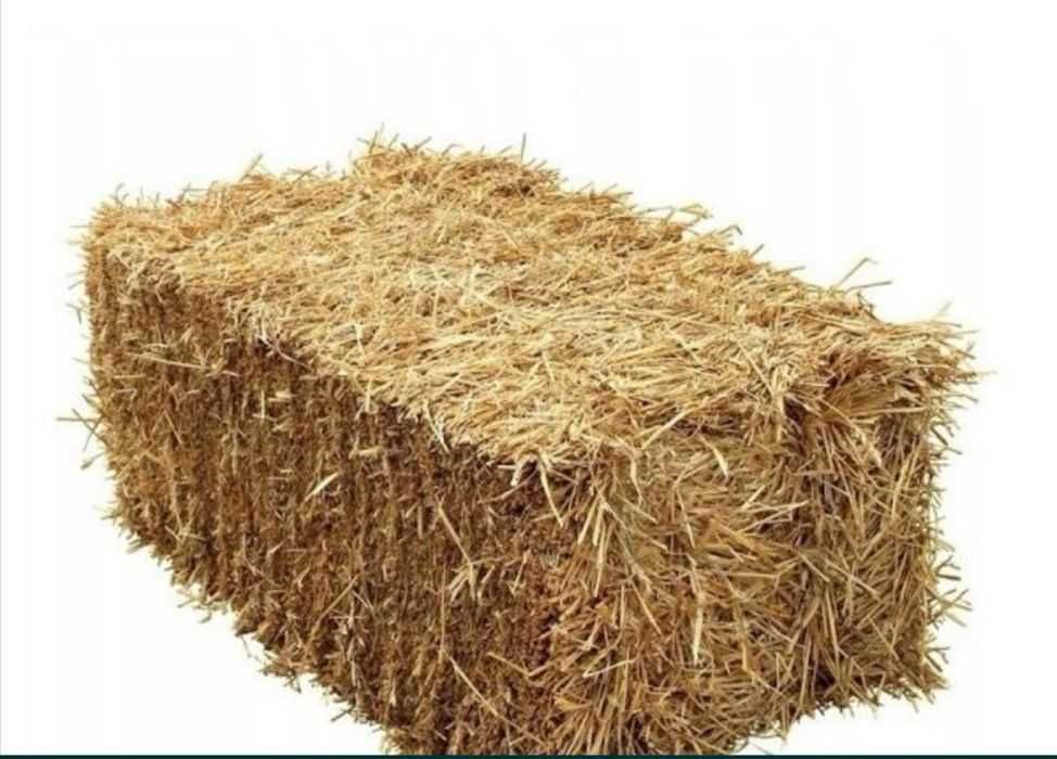 Słoma w kostkach 2025