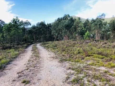 Terreno Único com Vistas de Montanha em Melres - Gondomar