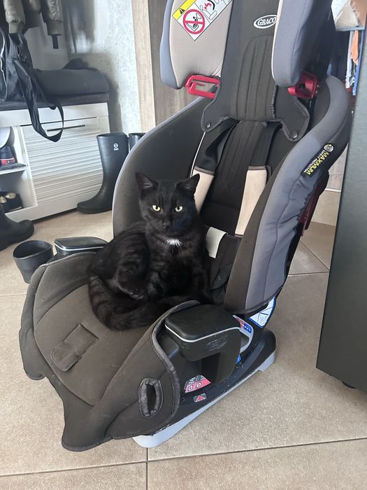 Siedzonko w bardzo dobrym stanie polecam bardzo ……………………………….