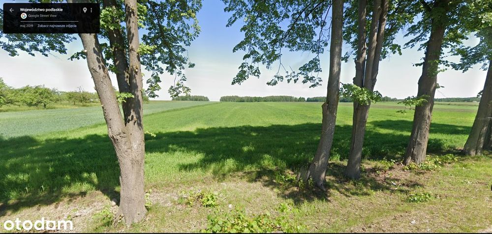 Działka działki 0,3 ha Wola Zambrzycka