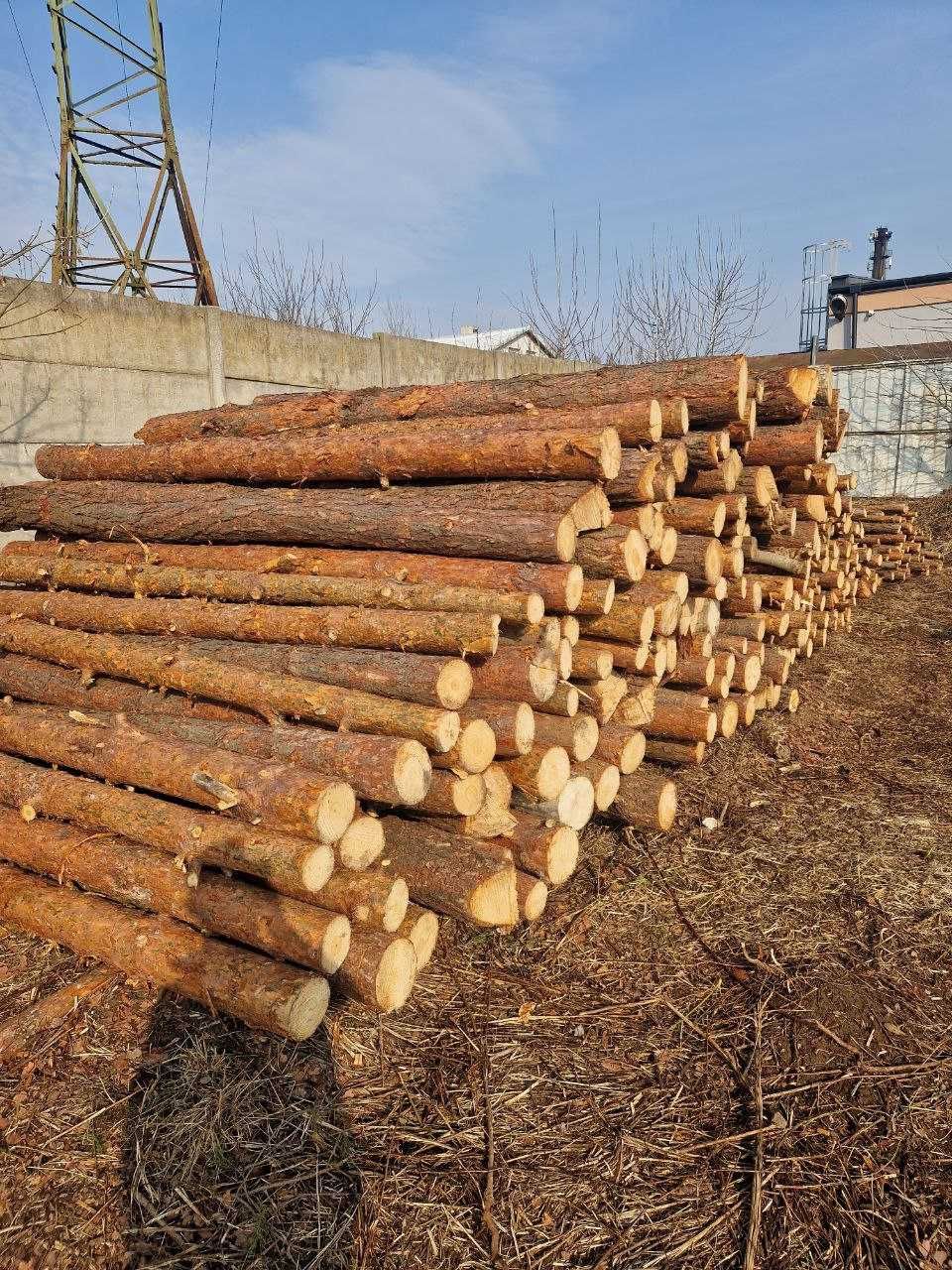 Steple Budowlane Sosnowe Nowe/ 3.2 długości/ Grube/Świeżę