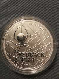 Redback Spider 2020