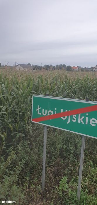 Działka, Ługi Ujskie
