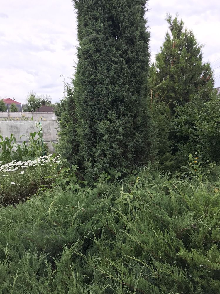Продам Дачу біля озера.