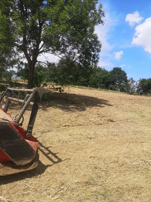 Czyszczenie dzialek mulczer leśny frezowanie pni likwidacja zakrzaczen