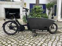 Urban Arrow Family electric cargo bicycle