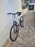 Bicicleta branca