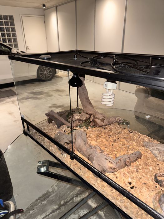 Terrário Giganterra 100x50x50 + lampada UV/Calor + Devoração