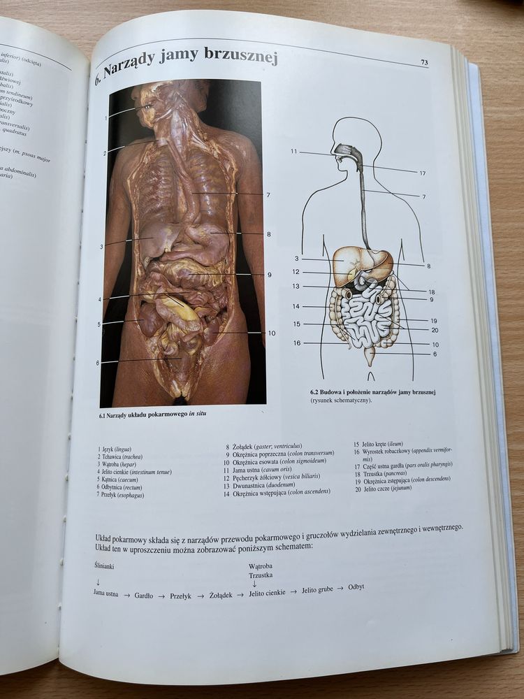 Fotograficzny atlas anatomii człowieka