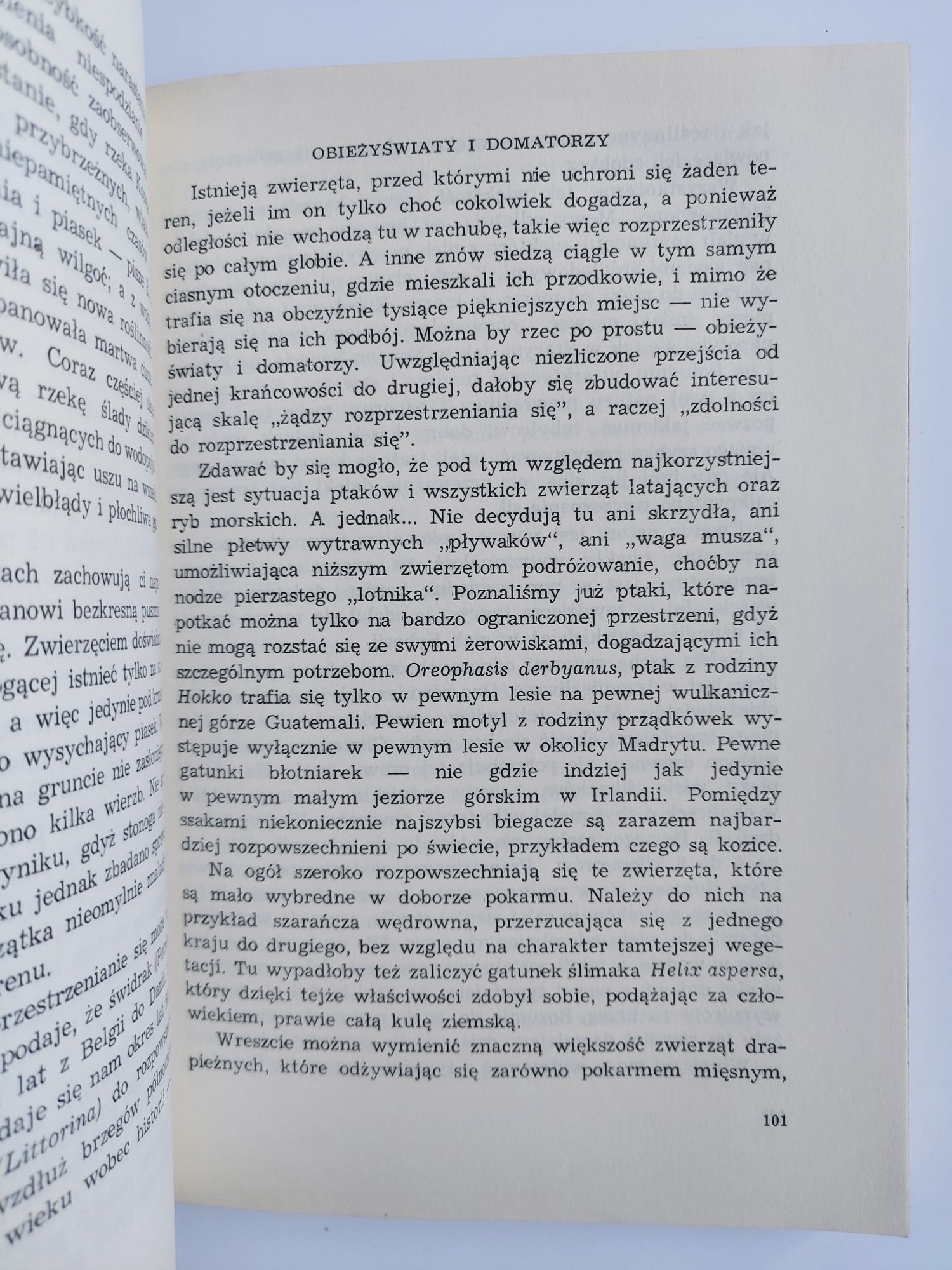 Skąd - dokąd. Szlaki wędrowne zwierząt - Gerolf Alschner