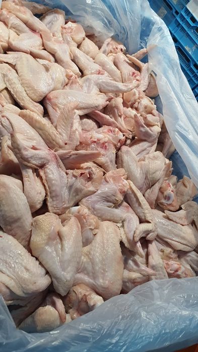 Крильця курячі, 1 категорія.