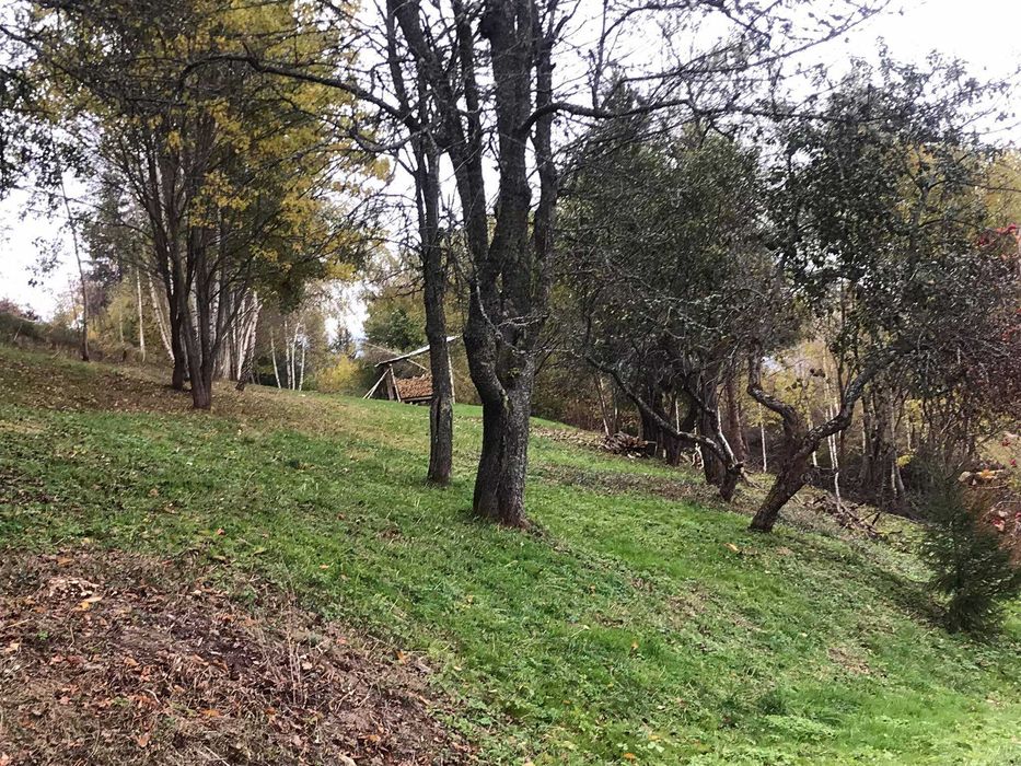 Продаж земельної ділянки Славсько ,Стрийського р-н,Львівської області