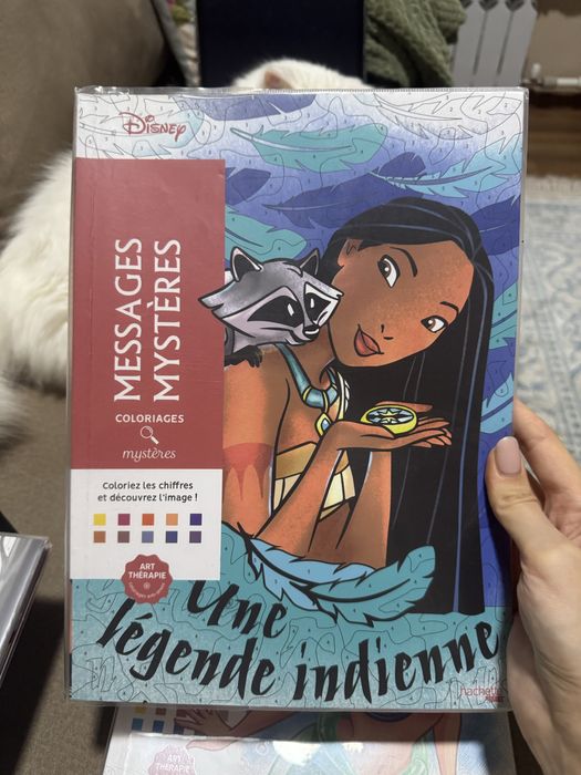 Розмальовка дісней. Франція.