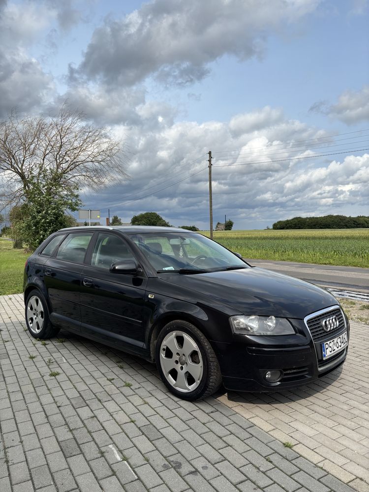 Audi A3 8P 2.0 TDI
