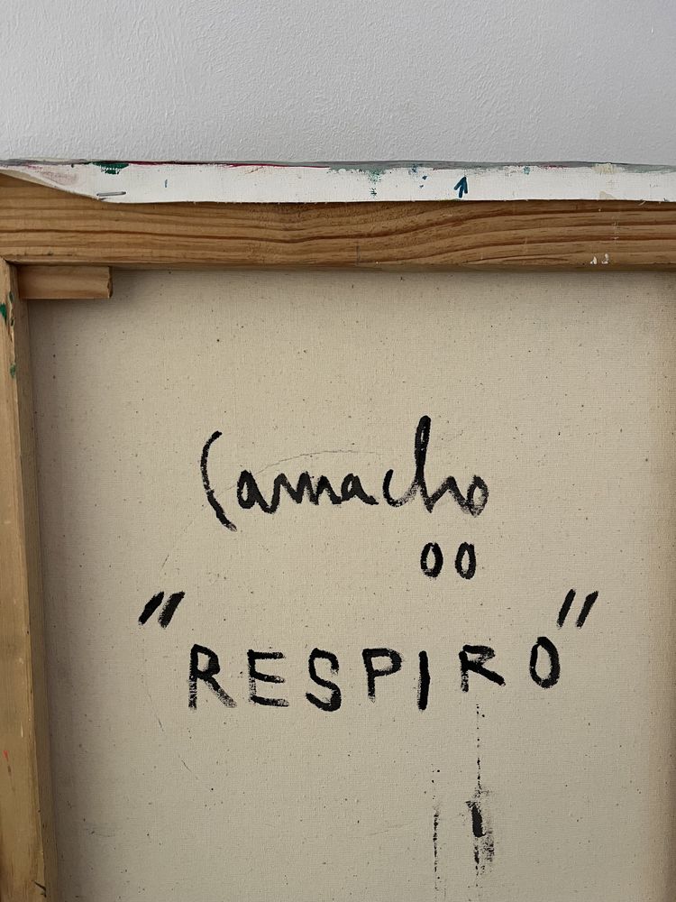 Quadro óleo sobre tela Luís Camacho 2000 “respiro”