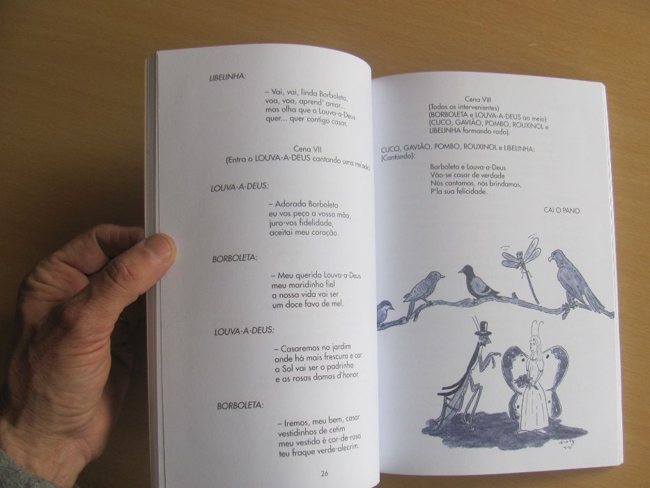 O Melro de Aida Cordeiro