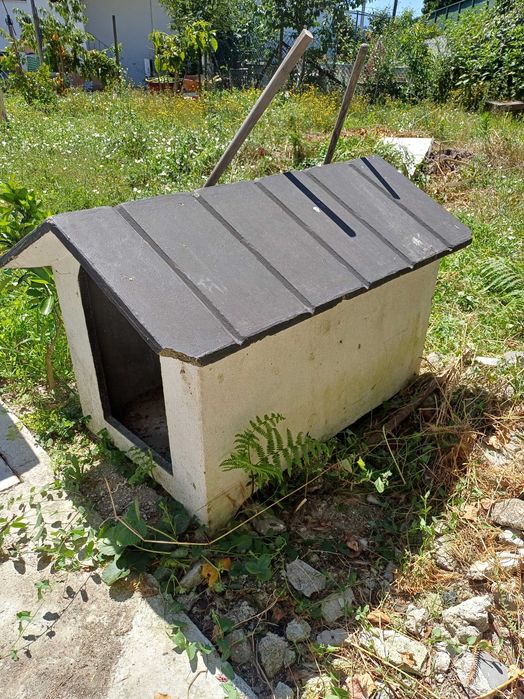 Casaote para cães