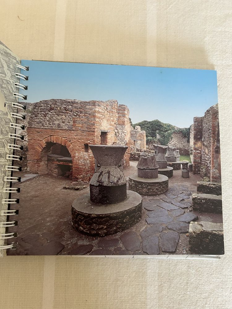 Livro “Pompeia”