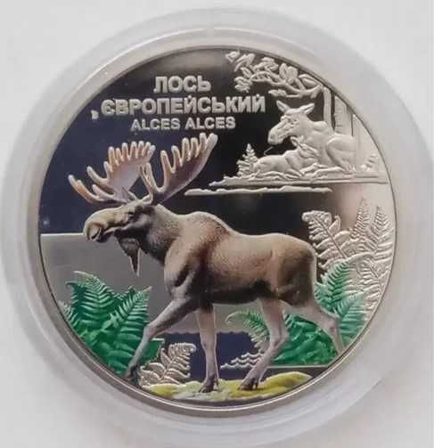 Чорнобиль. Відродження. Лось європейський. ОБМІН