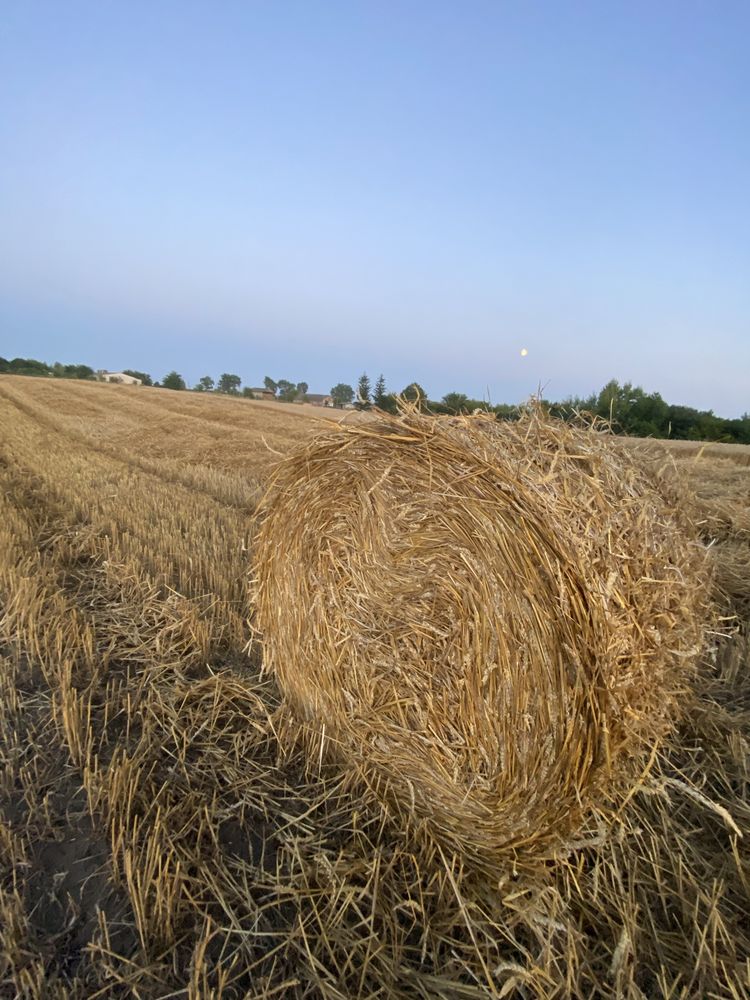 Тюк соломи круглий