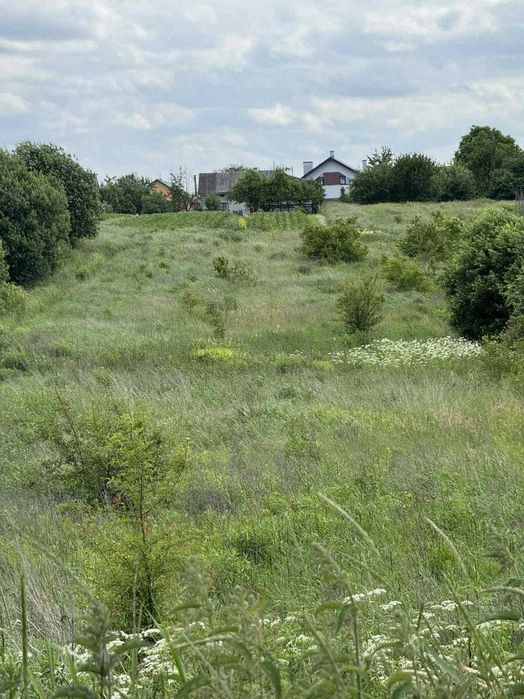 Продаж земельної ділянки, Сокільники