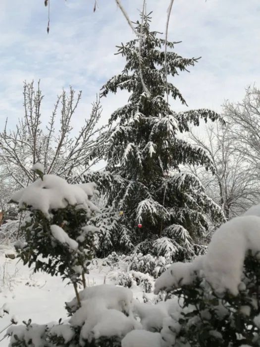 Продам будинок з ексклюзивною земельною ділянкою в центрі міста.