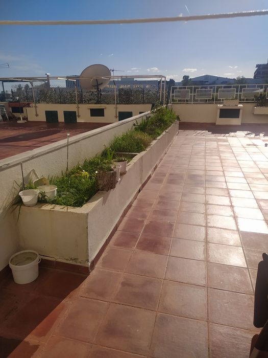 Dá-se terra de cultivo/ plantio