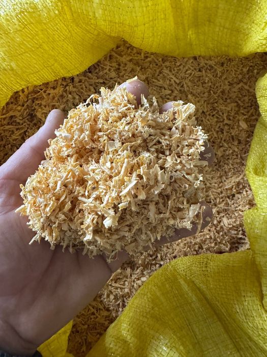 Fitas de Madeira / Aparas Secas