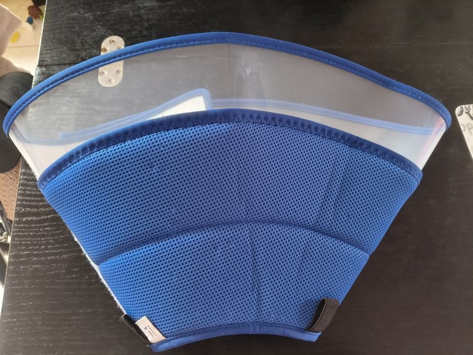 Colar para cão porte grande e médio