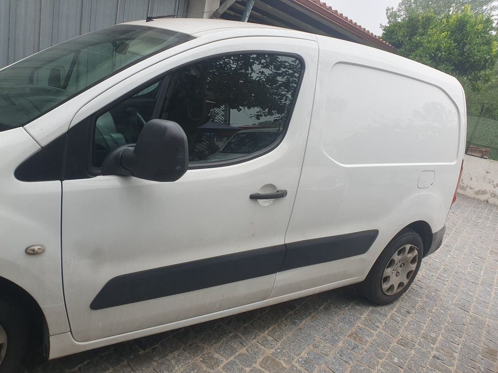 Pegeut Partner  1.6