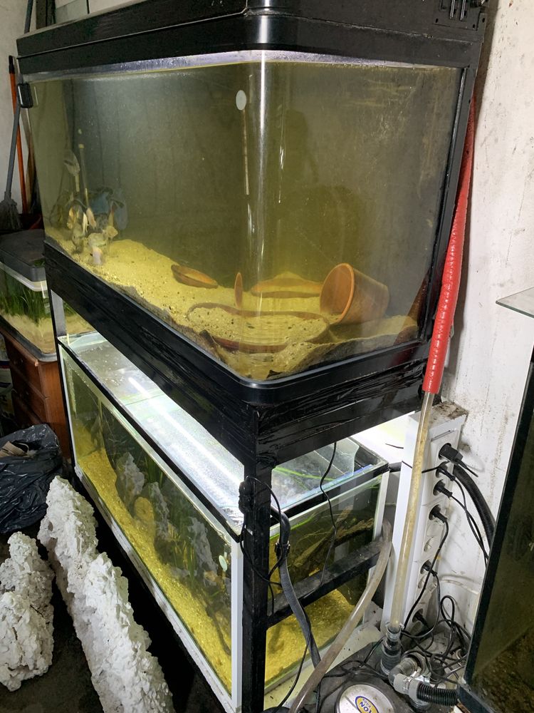 2 aquarios com luz e estrutura de  ferro