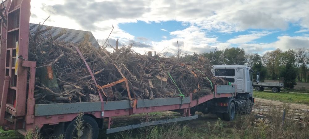 Odbiór korzeni, wycinanie drzew