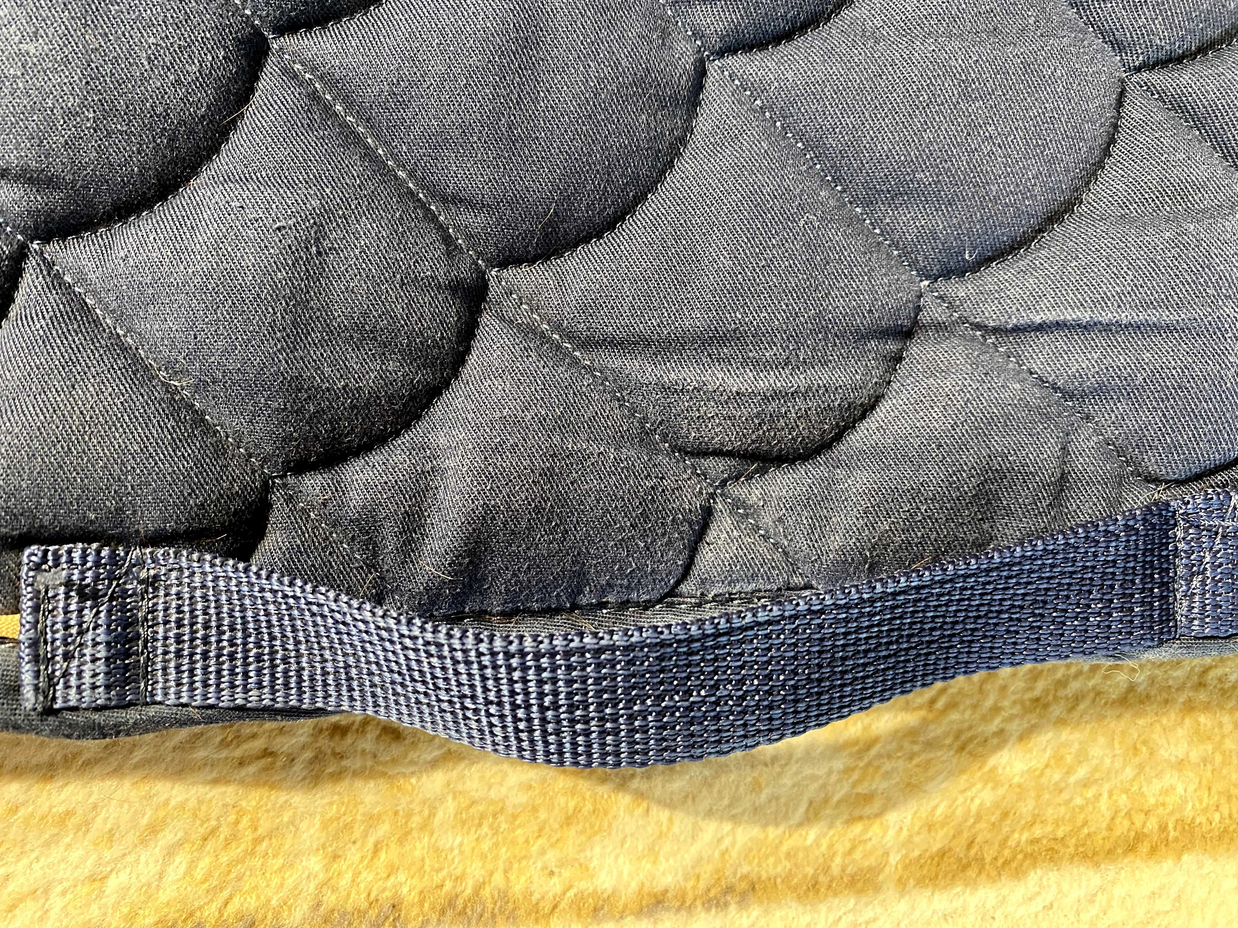 Czaprak magnetyczny Torpol