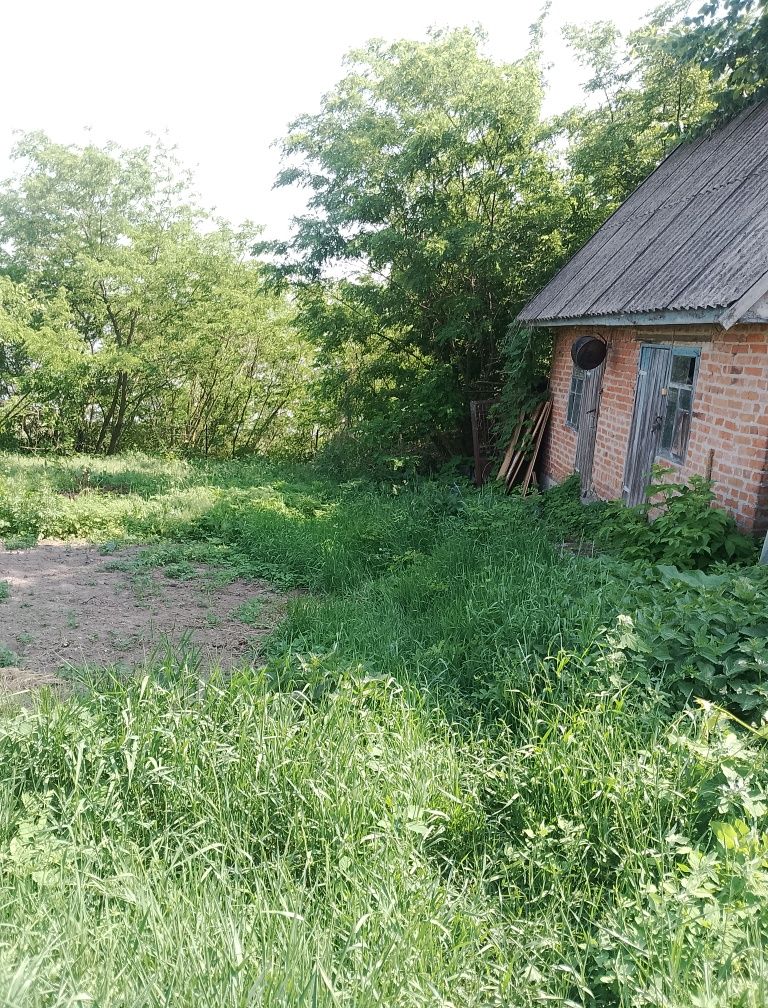 Продам будинок в місті яготин