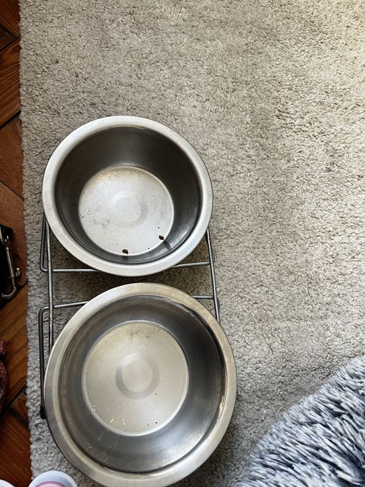 Ração para cão  Yorkshire