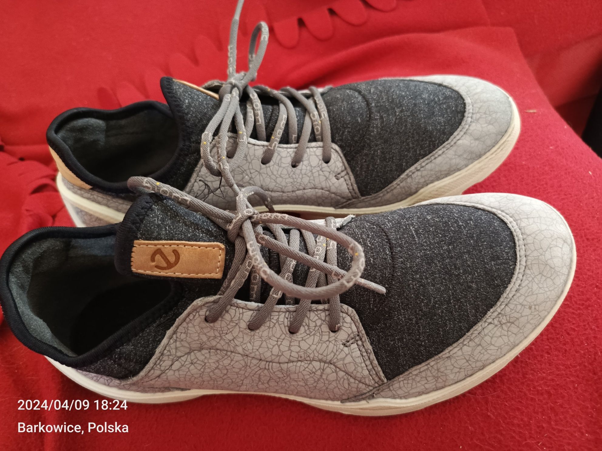 Sprzedam buty sportowe ECCO biom 38 tania wysyłka wiosna